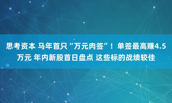 思考资本 马年首只“万元肉签”！单签最高赚4.5万元 年内新股首日盘点 这些标的战绩较佳