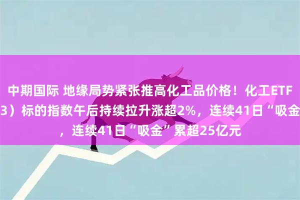 中期国际 地缘局势紧张推高化工品价格！化工ETF天弘（159133）标的指数午后持续拉升涨超2%，连续41日“吸金”累超25亿元