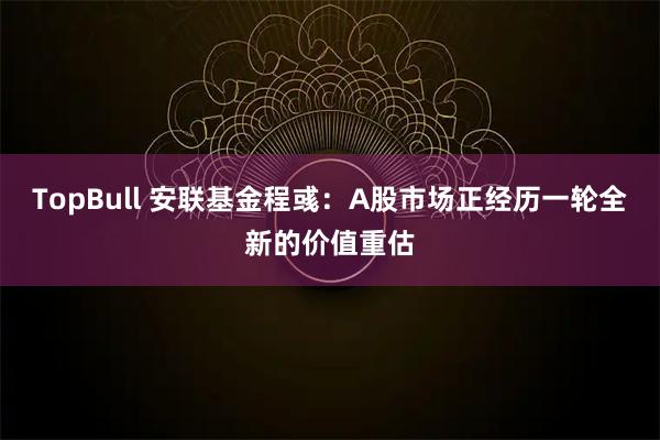 TopBull 安联基金程彧:A股市场正经历一轮全新的价值重估